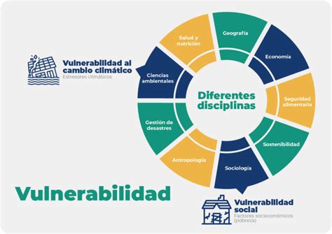 Esquema de las diversas dimensiones de la vulnerabilidad