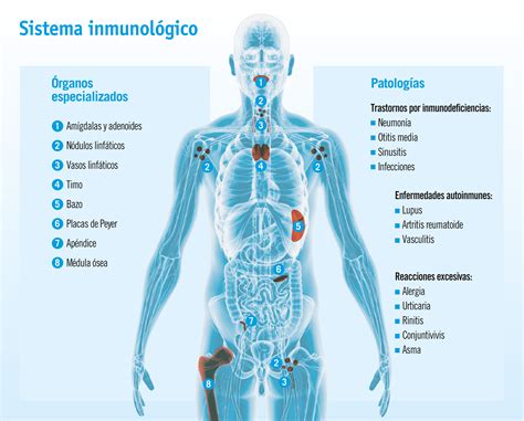 Ilustración de un sistema inmunitario con diferentes niveles de resistencia a patógenos
