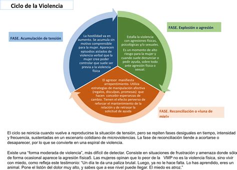 Esquema de las causas de violencia y abuso en centros de protección.