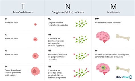 Tabla de estadiaje TNM para el cáncer de vejiga