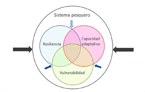 Esquema visual que ilustra la relación entre exposición, sensibilidad, capacidad adaptativa y vulnerabilidad en el contexto del cambio climático
