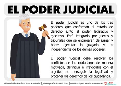 Infografía: Composición de los centros de protección visitados por el Poder Judicial (Cread, OCAS, Privados)