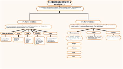 Mapa conceptual: Factores que influyeron en el fallecimiento de Lissette Villa y las fallas detectadas en el Cread Galvarino.