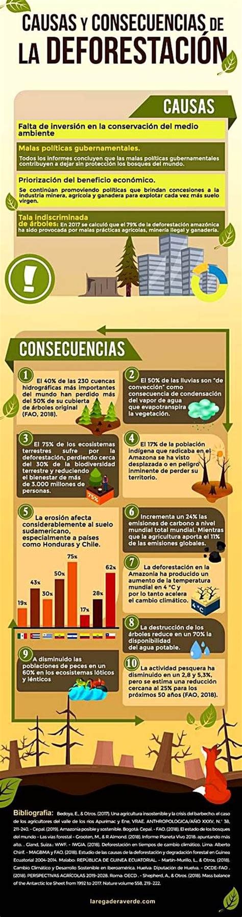 Infografía: Causas y efectos de la vulnerabilidad educativa