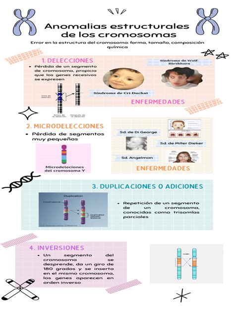 infografía sobre las problemáticas estructurales y de intervención en el sistema de protección de menores en Chile
