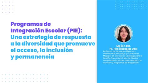 Infografía sobre el Proyecto de Integración Escolar (PIE)