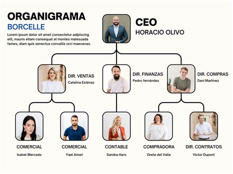 Organigrama simplificado o infografía de los distintos perfiles profesionales en Sename