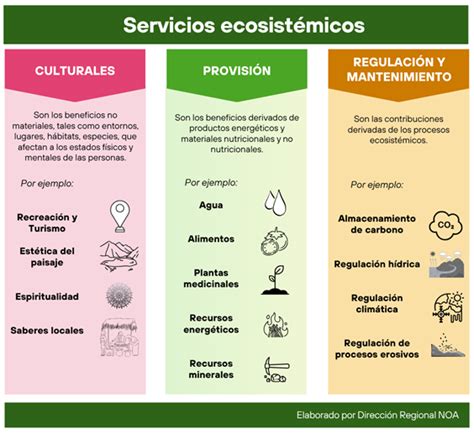 Infografía de los elementos sistémicos que impactan la ejecución del Programa Servicio en Beneficio a la Comunidad