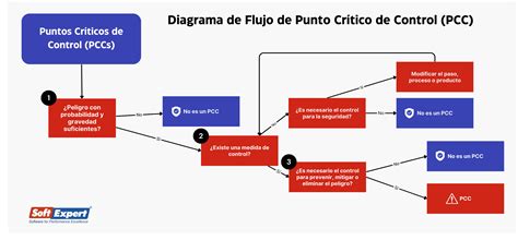 Diagrama de flujo con puntos críticos en las etapas de ingreso, ejecución y egreso del PSBC