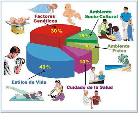 Infografía: Factores socioeconómicos que influyen en la salud infantil