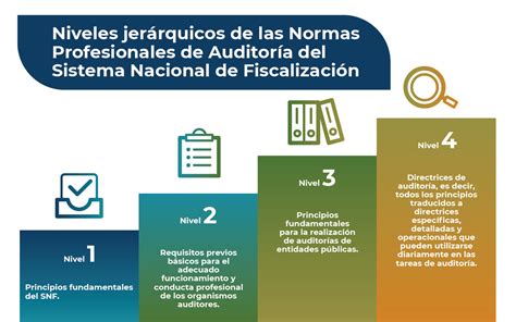 Infografía o esquema de las principales falencias detectadas en la auditoría del Sename