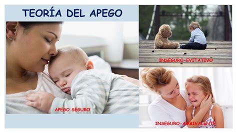 Diagrama explicativo de la teoría del apego y sus fases