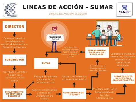 Infografía sobre las cinco líneas de acción principales del Servicio