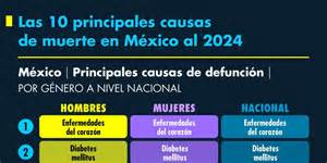 Gráfico que muestra la distribución de las causas de muerte en menores del Sename