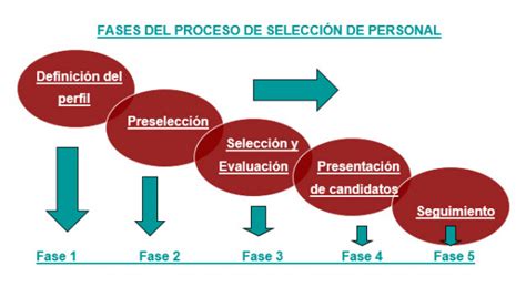 Esquema de las etapas de un proceso de selección de personal