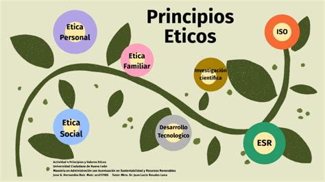 Esquema de los principios éticos en la investigación
