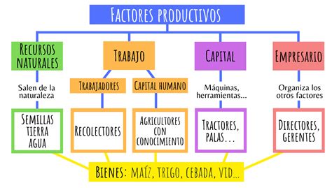 Esquema de factores de vulnerabilidad económica y sus interconexiones
