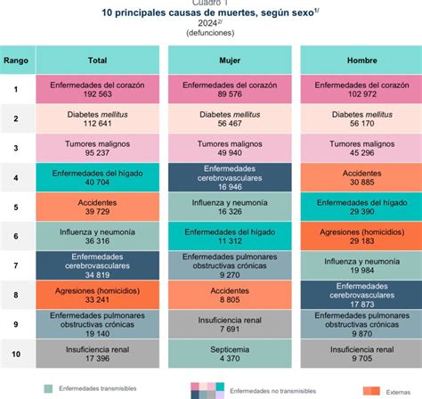 Infografía sobre las causas de muerte en niños bajo tutela del Sename