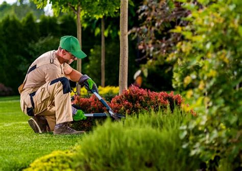Foto de una persona realizando labores de jardinería en una parcela rural