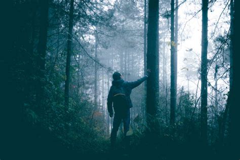 Ilustración de un hombre perdido en un bosque montañoso al anochecer