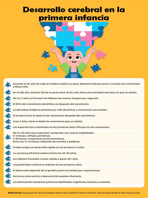 Infografía: Desarrollo cerebral en la primera infancia y su impacto en habilidades.