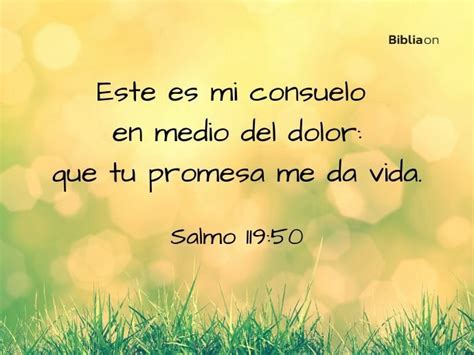 infografía con versículos bíblicos sobre consuelo, esperanza, resurrección, y amistad de Jesús