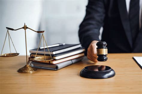 esquema del proceso judicial de protección en Chile