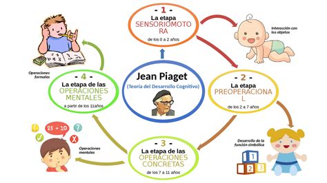 Esquema visual de las etapas del desarrollo cognitivo según Piaget e Inhelder