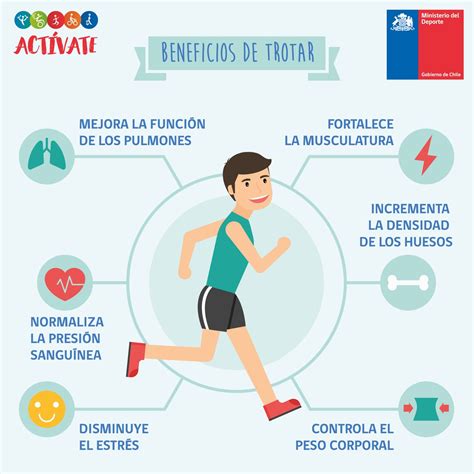 Infografía sobre los beneficios de los glúteos grandes para la salud cardiovascular y metabólica