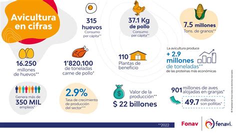 Infografía: Cifras de fallecimientos en centros Sename (2005-2016)