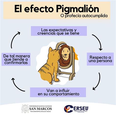 Dibujo o infografía del 