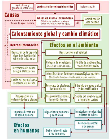 Esquema de las causas y efectos de la internación residencial en la infancia chilena