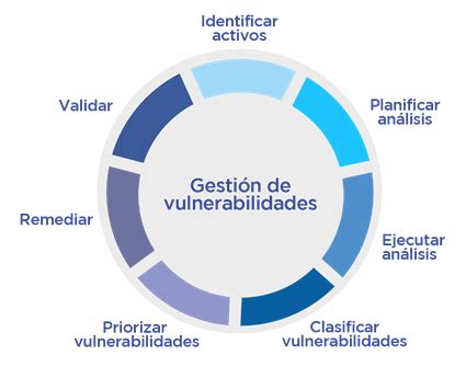 Infografía: Ciclo de vida de la gestión de vulnerabilidades