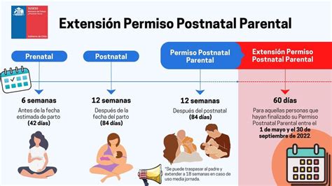 Esquema de las etapas del fuero maternal en Chile: embarazo, prenatal, postnatal y un año posterior