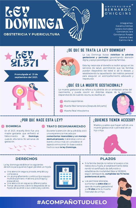 Infografía sobre los derechos establecidos por la Ley Dominga para el duelo perinatal