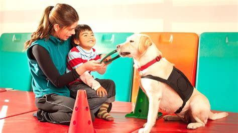Fotografía de niños interactuando felizmente con perros de terapia