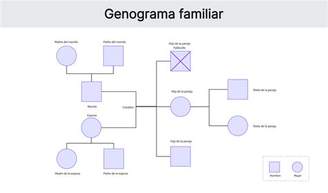 Ejemplo de genograma familiar o ecomapa