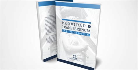 Esquema de las leyes de probidad y transparencia aplicables a servicios públicos en Chile