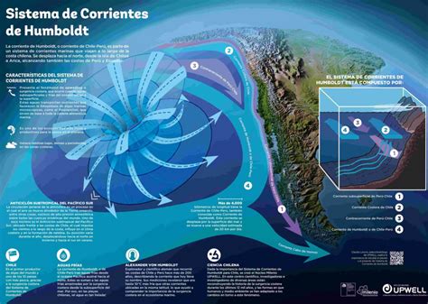 Mapa de la corriente de Humboldt y las zonas costeras de Chile