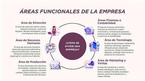 Esquema de las áreas de actuación y funciones de la enfermería