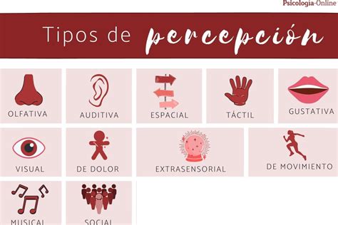 Gráfico que muestra la percepción de los psicólogos sobre el apoyo institucional