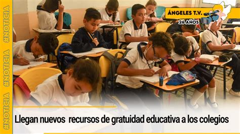 gráfico comparativo de acceso a la gratuidad entre colegios municipales y particulares pagados