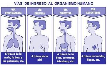 Esquema de las vías de ingreso y egreso de menores del Sename