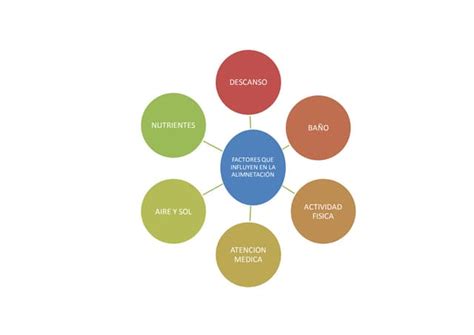 Gráfico: Factores que influyen en la simulación de pensión