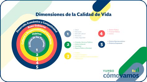 Gráfico de barras mostrando las dimensiones de calidad de vida más afectadas en cuidadores primarios
