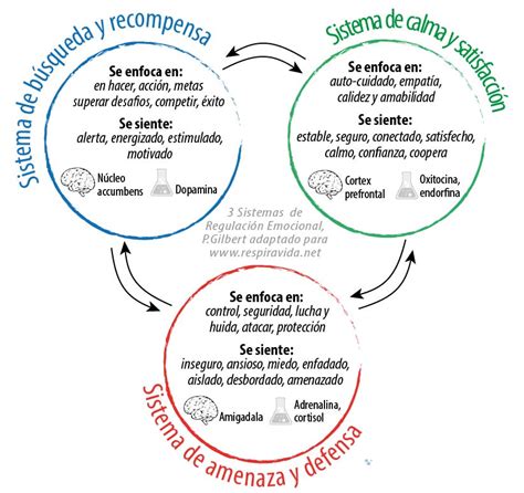 infografía sobre los tres sistemas emocionales (rojo, azul, verde) y su función