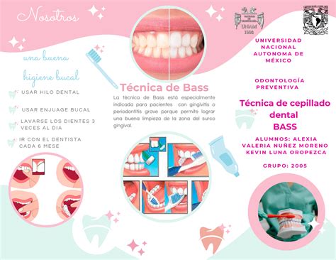 infografia sobre la tecnica de cepillado de Bass
