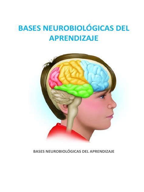 Diagrama de las bases neurobiológicas y genéticas de la vulnerabilidad