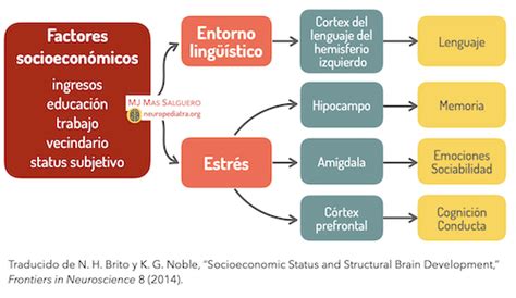 Esquema de factores socioeconómicos que afectan el desarrollo educativo