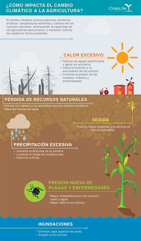 Infografía: Impacto del cambio climático en los factores de vulnerabilidad